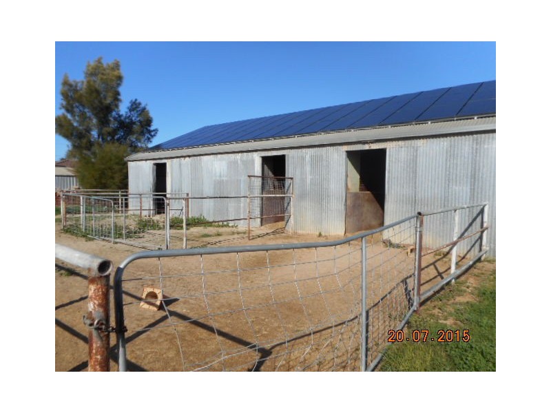 25 Trotters Drive, Globe Derby Park SA 5110