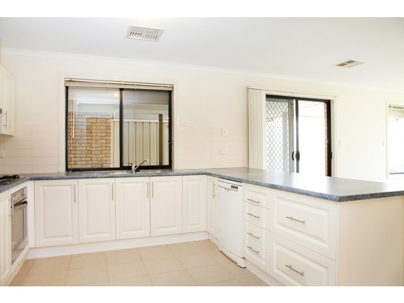 20 AMES DRIVE, Evanston Park SA 5116