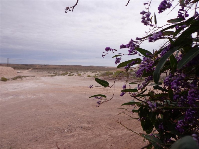 Lot 1517 Underwood Cres., Coober Pedy SA 5723