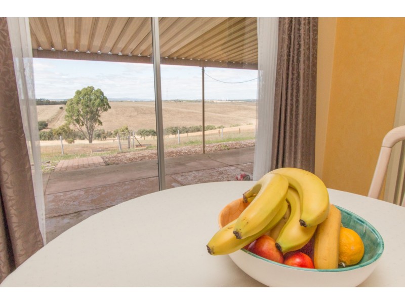 576 MEDLOW RD, Uleybury SA 5114