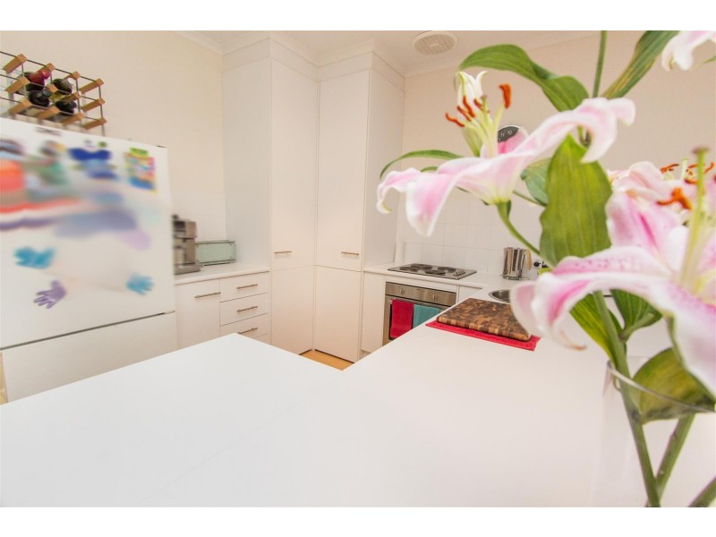 6 PIER LANE, Mawson Lakes SA 5095