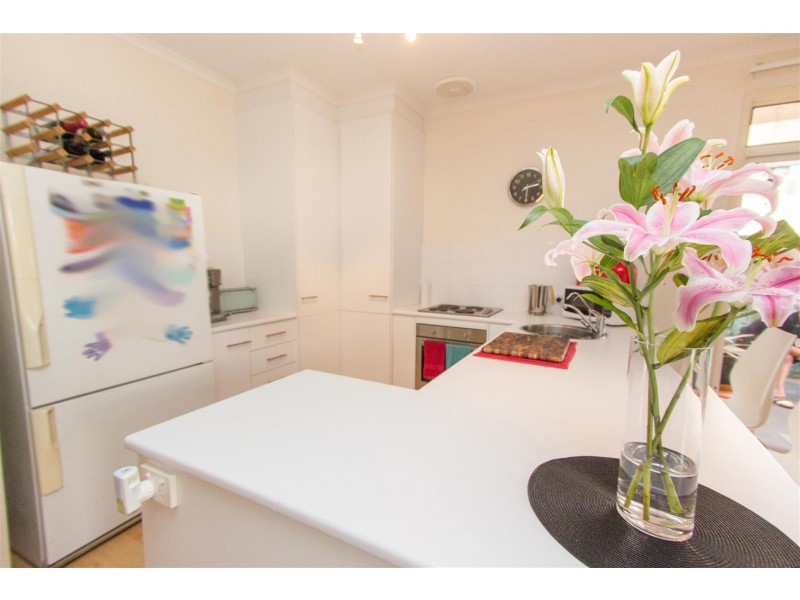 6 PIER LANE, Mawson Lakes SA 5095