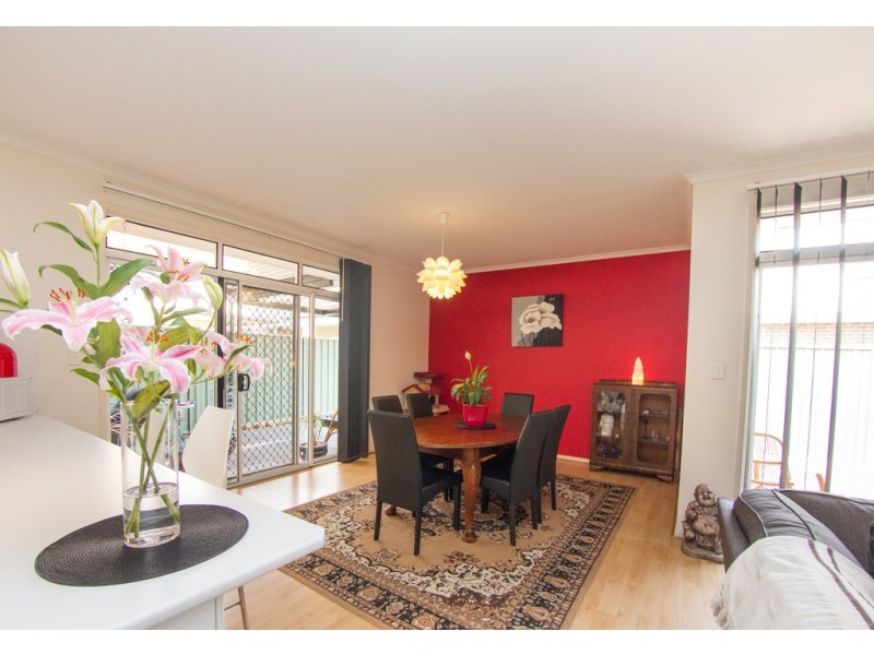 6 PIER LANE, Mawson Lakes SA 5095