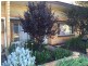 22 Almond Grove, Glandore SA 5037