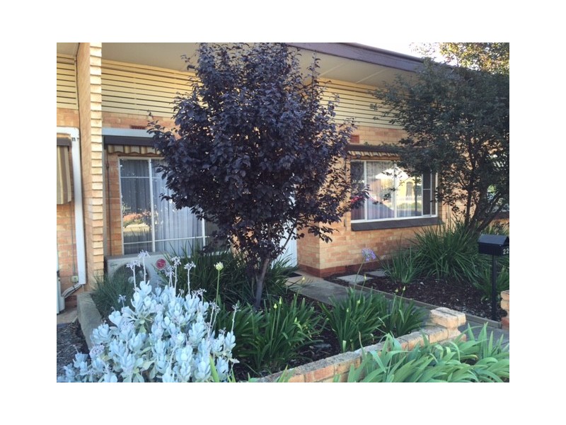 22 Almond Grove, Glandore SA 5037