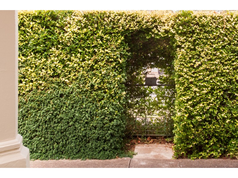 17 YORK TCE, Salisbury SA 5108