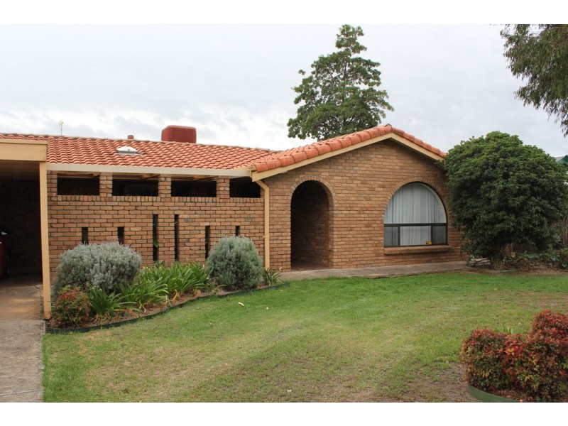 7 Ellen Street, Athelstone SA 5076