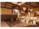 53 Hallett Street, Callington SA 5254