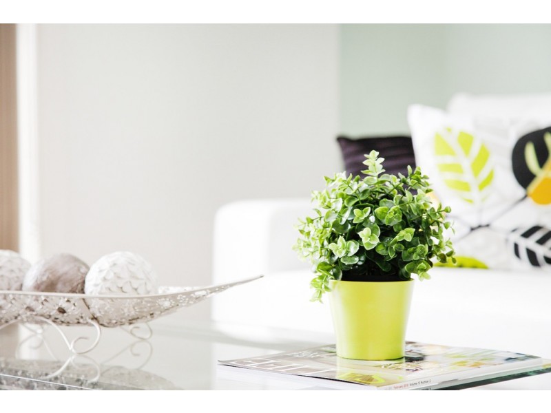 335 MAWSON LAKES BLVD, Mawson Lakes SA 5095