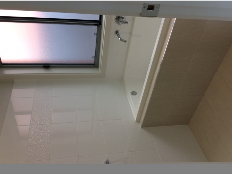 14 Short Street, Wayville SA 5034