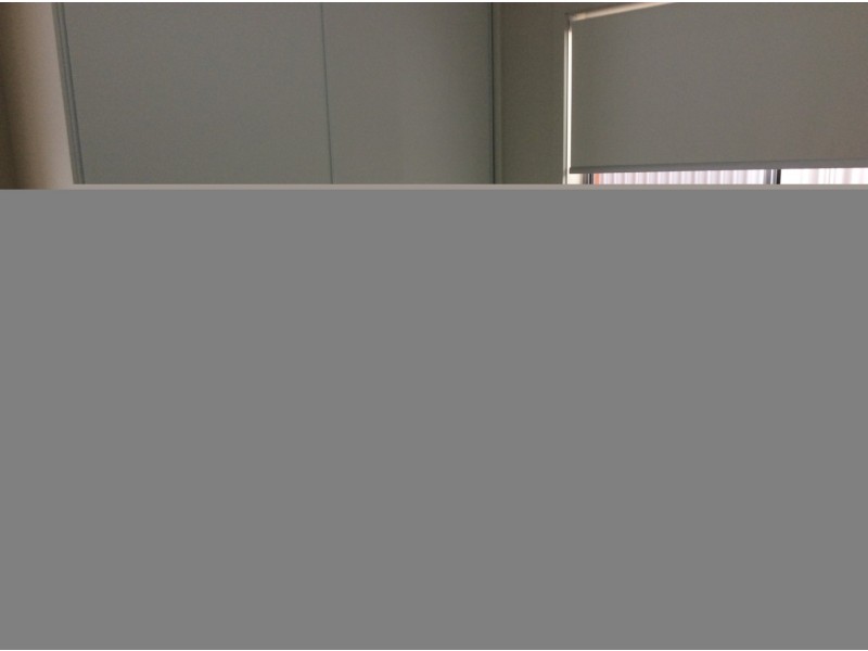 14 Short Street, Wayville SA 5034