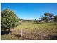 226 Bamboo Drive, Woodhill QLD 4285