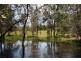 121 Rosia Rd, Park Ridge South QLD 4125