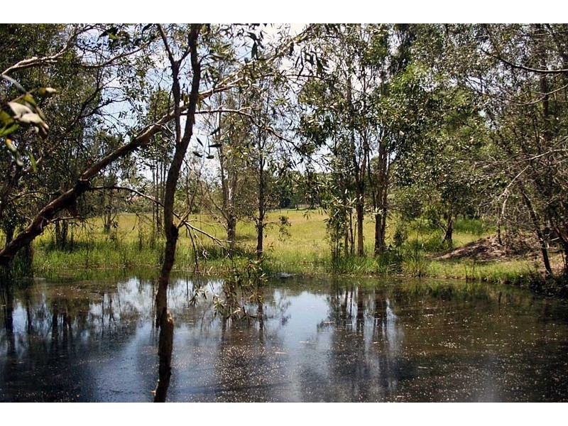 121 Rosia Rd, Park Ridge South QLD 4125