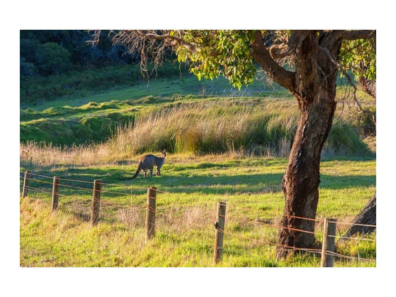 32 St Alouarn Pl, Margaret River WA 6285