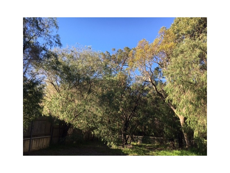 69A Norfolk Street, Dunsborough WA 6281