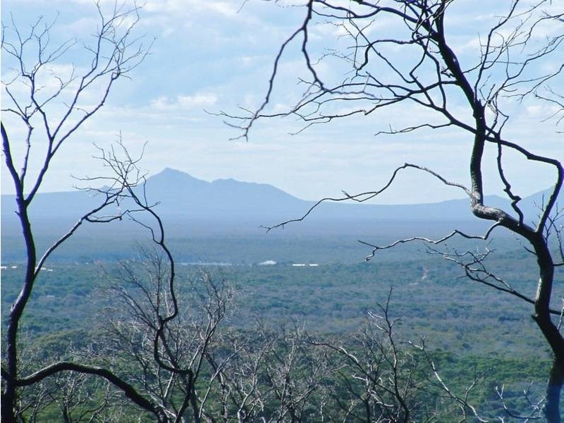 Lot 400 Wellstead Road, Bremer Bay WA 6338