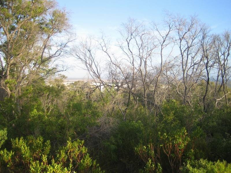 Lot 400 Wellstead Road, Bremer Bay WA 6338