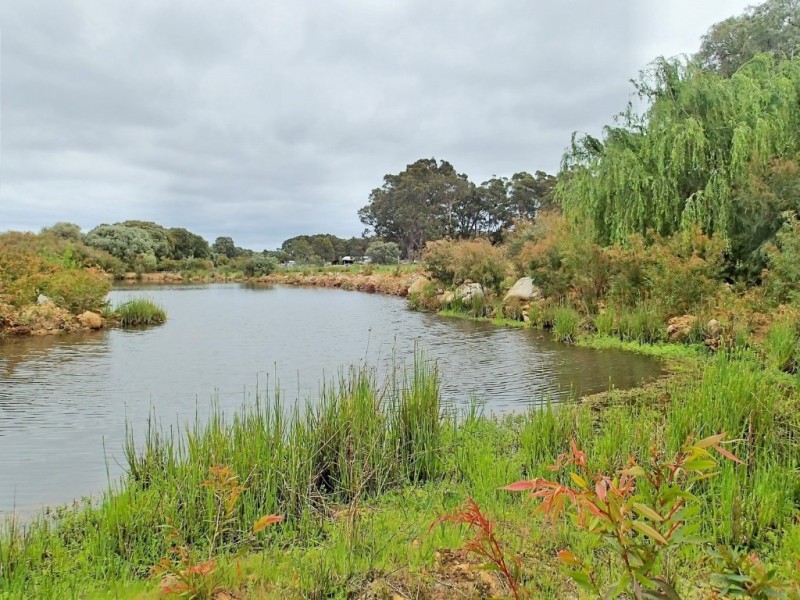 8732 Bussell Highway, Cowaramup WA 6284