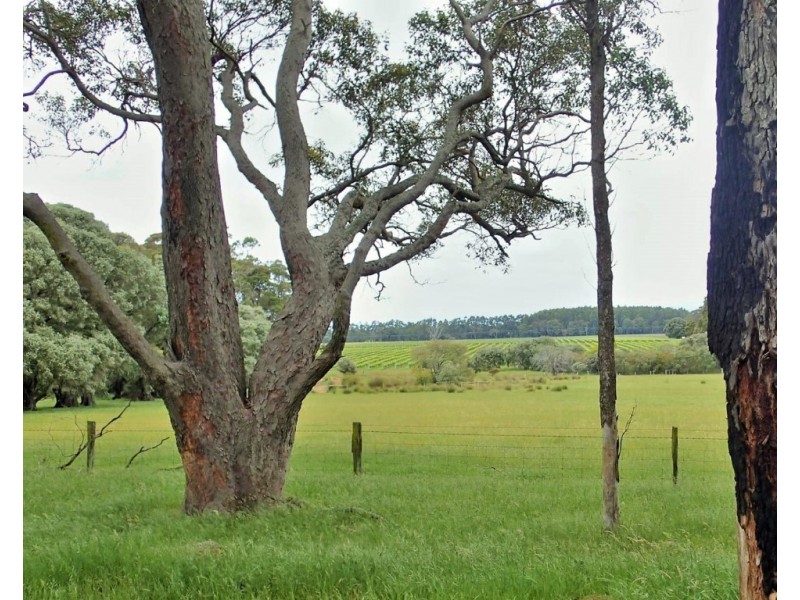 8732 Bussell Highway, Cowaramup WA 6284