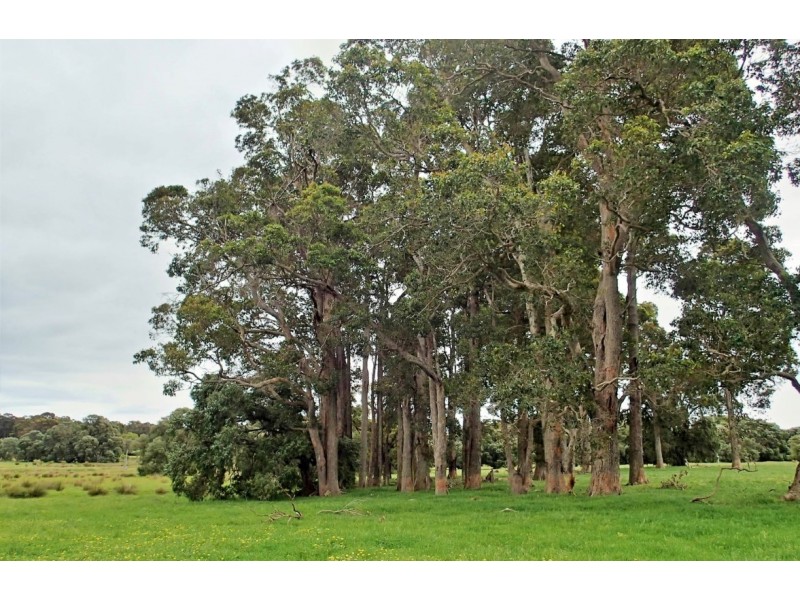 8732 Bussell Highway, Cowaramup WA 6284