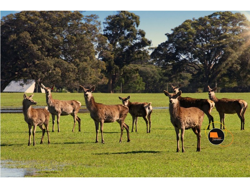 Lot 203 Caves Road and Lot 202 (622) Ellen Brook Road, Cowaramup WA 6284