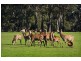 Lot 203 Caves Road and Lot 202 (622) Ellen Brook Road, Cowaramup WA 6284