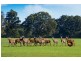 Lot 203 Caves Road and Lot 202 (622) Ellen Brook Road, Cowaramup WA 6284