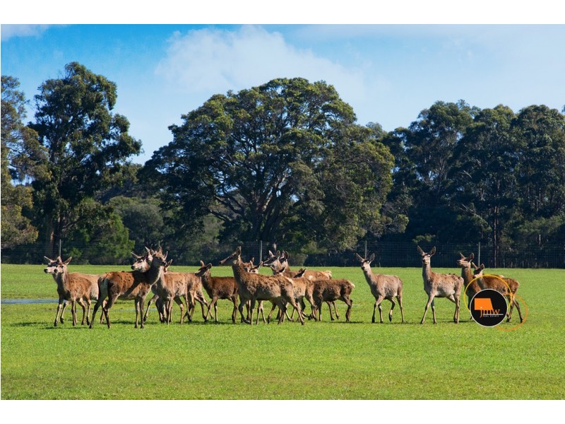 Lot 203 Caves Road and Lot 202 (622) Ellen Brook Road, Cowaramup WA 6284