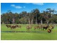 Lot 203 Caves Road and Lot 202 (622) Ellen Brook Road, Cowaramup WA 6284
