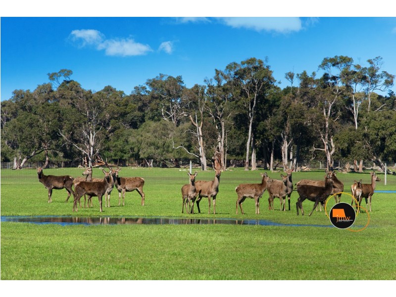 Lot 203 Caves Road and Lot 202 (622) Ellen Brook Road, Cowaramup WA 6284