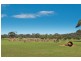 Lot 203 Caves Road and Lot 202 (622) Ellen Brook Road, Cowaramup WA 6284