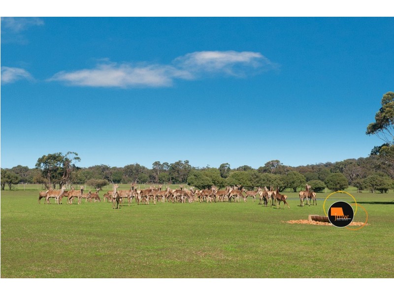 Lot 203 Caves Road and Lot 202 (622) Ellen Brook Road, Cowaramup WA 6284