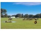 Lot 201 (5103) Caves Road, Cowaramup WA 6284
