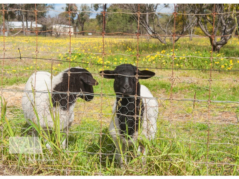 173 Wisteria Drive, Quindalup WA 6281