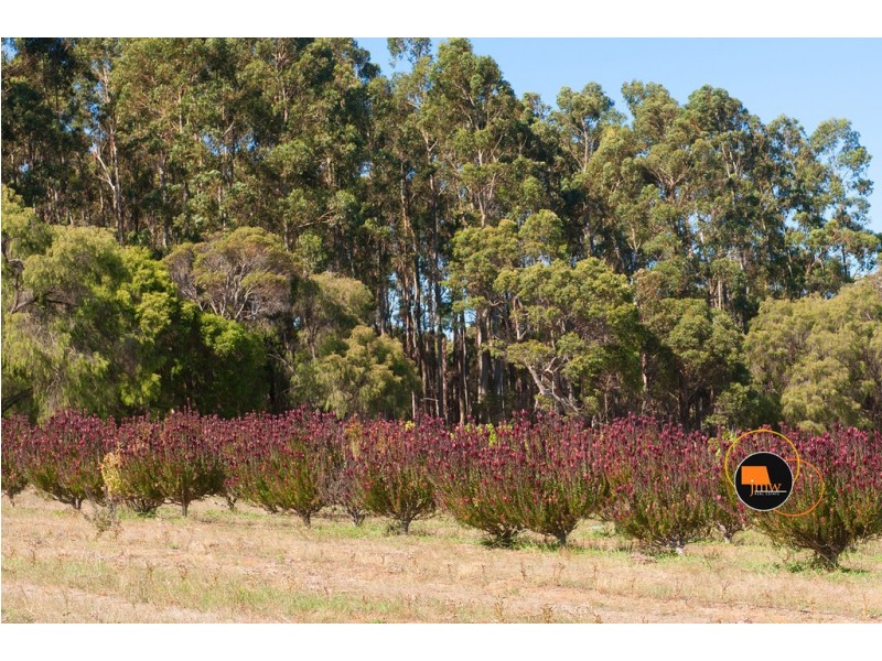 16 Hayes Road, Quindalup WA 6281