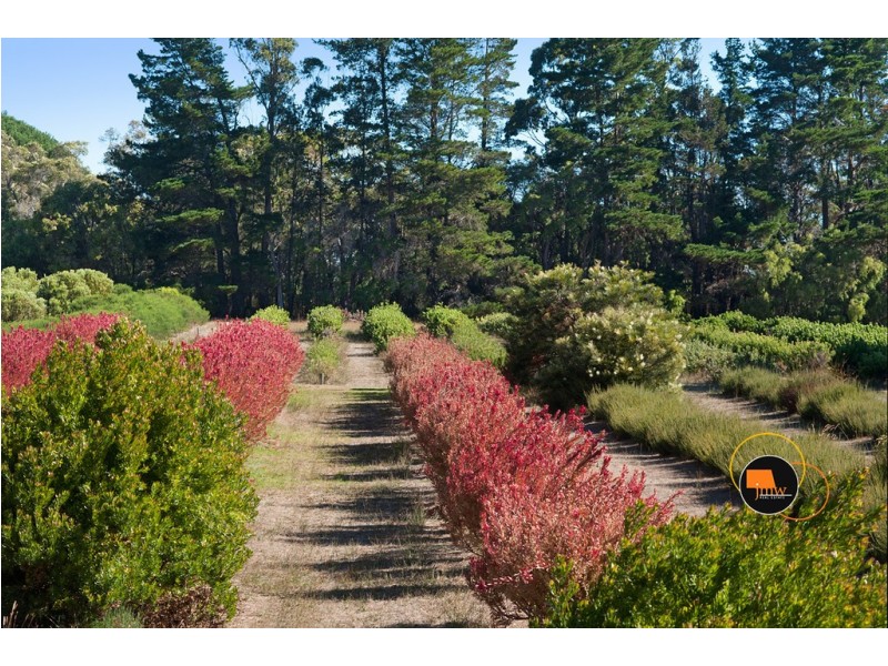 16 Hayes Road, Quindalup WA 6281