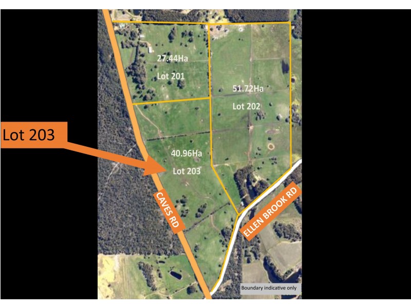 Lot 203 Caves Road, Cowaramup WA 6284