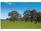 Lot 203 Caves Road, Cowaramup WA 6284