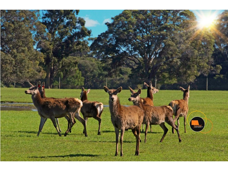 Lot 202 (622) Ellen Brook Road, Cowaramup WA 6284