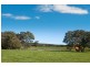 Lot 202 (622) Ellen Brook Road, Cowaramup WA 6284