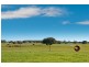 Lot 202 (622) Ellen Brook Road, Cowaramup WA 6284