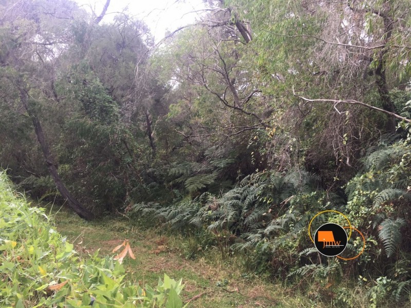 25 Curtis Street, Dunsborough WA 6281