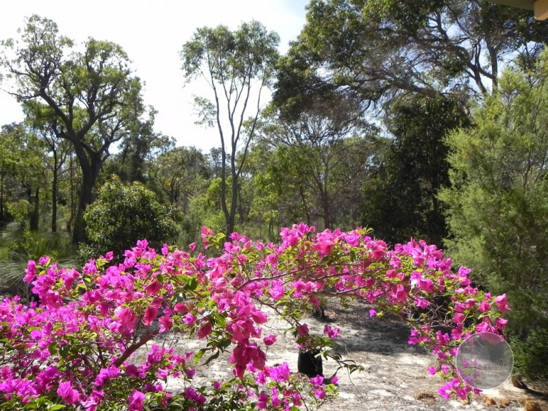 305 Yungarra Drive, Quedjinup WA 6281