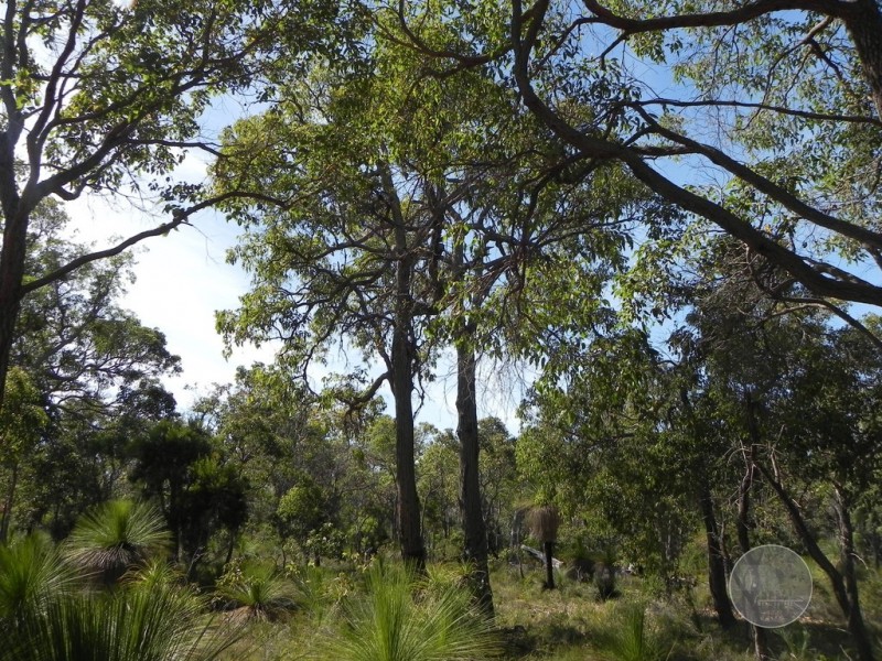 305 Yungarra Drive, Quedjinup WA 6281