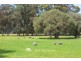 Lot 42 (5093) Caves Road, Cowaramup WA 6284