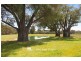 Lot 42 (5093) Caves Road, Cowaramup WA 6284