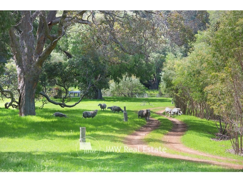 Lot 42 (5093) Caves Road, Cowaramup WA 6284