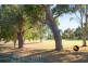 51 Amberley Loop, Dunsborough WA 6281