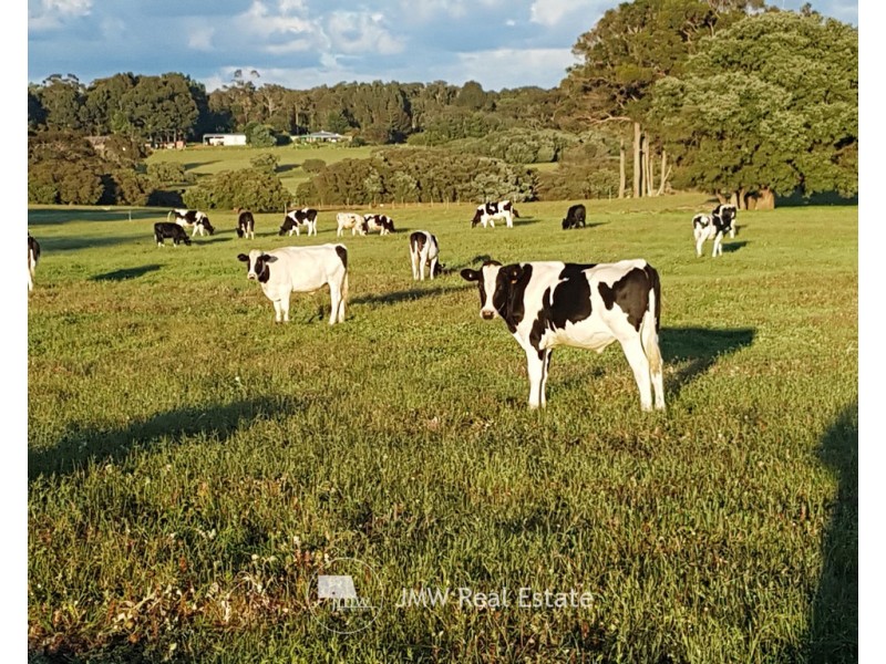 234 Gnarawary Road, Margaret River WA 6285